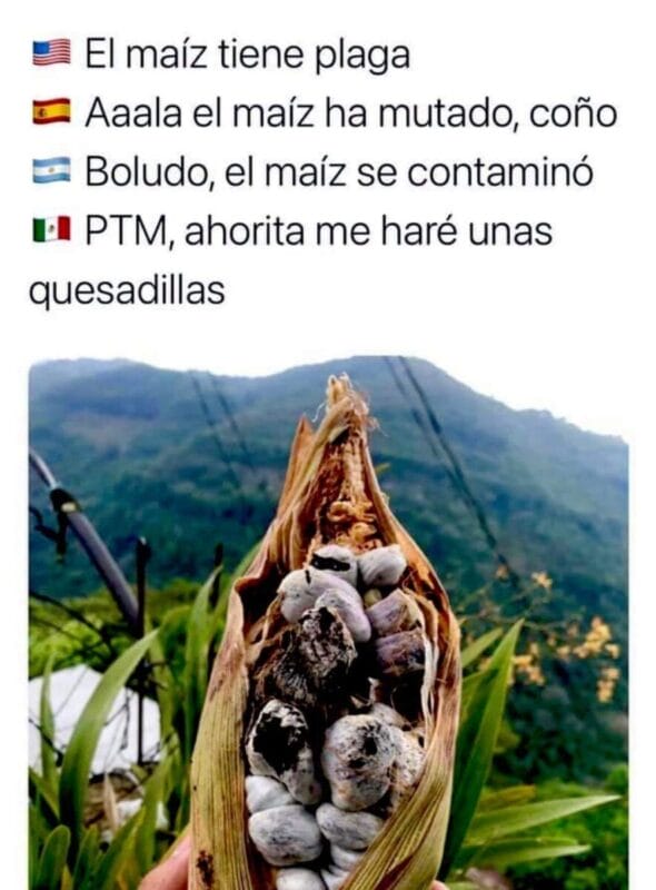 Disfruta Con Los Mejores Memes De La Semana En Conexi N Migrante