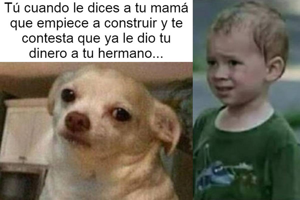 R E Con Los Mejores Memes De La Semana En Conexi N Migrante