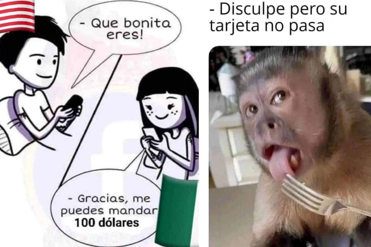 Diviértete Con Los Mejores Memes De La Semana En Conexión Migrante