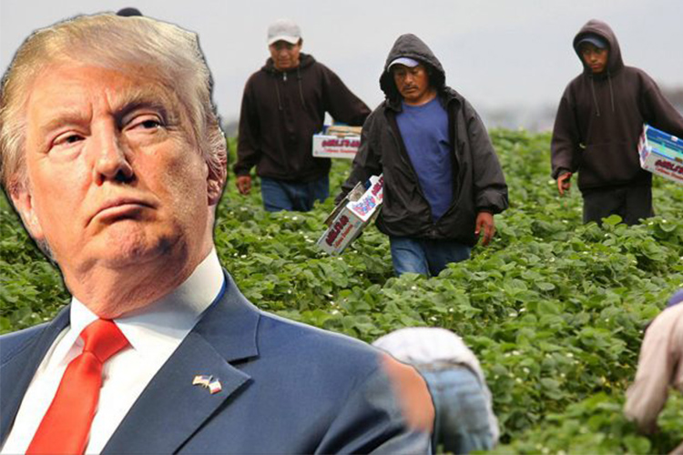 Donald Trump firmará mañana ordenes ejecutivas sobre temas de migración