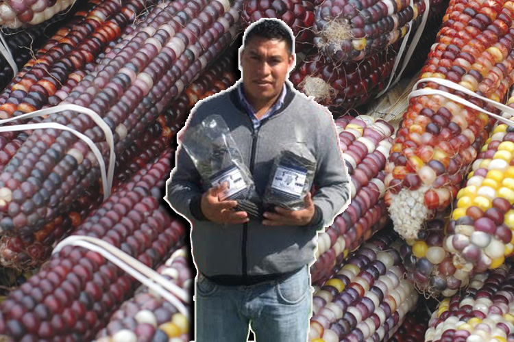 Poblano encuentra el sueño americano en el maíz azul de México
