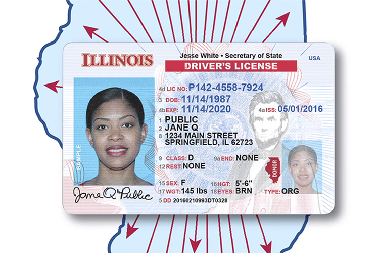 ¿Desaparecerá la mal llamada “licencia para indocumentados” en Illinois?