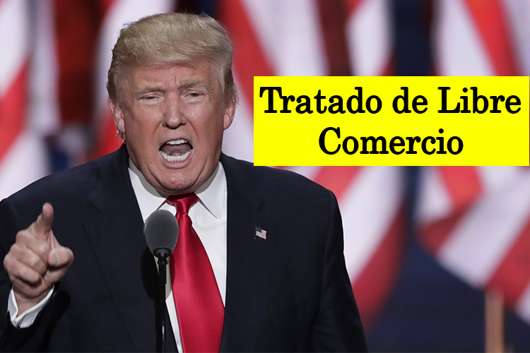 Plan sobre TLCAN, listo en dos semanas: Donald Trump