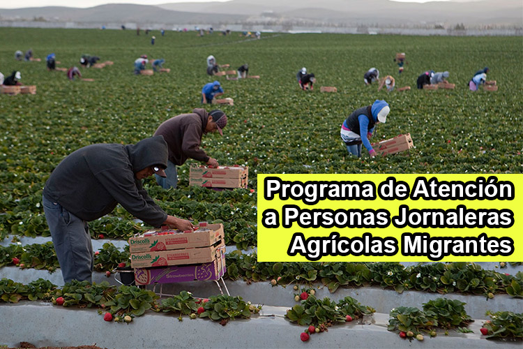 Chihuahua lanza programa para atender a 90 mil jornaleros agrícolas migrantes