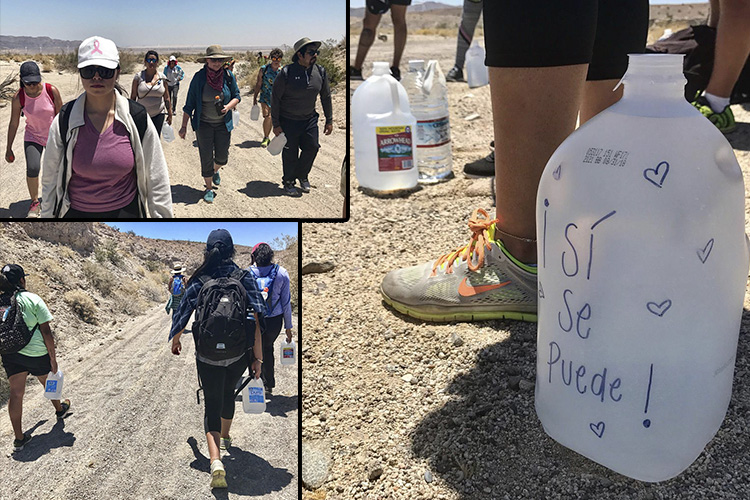 Border Angels deja agua para migrantes el desierto de la frontera entre México y EU