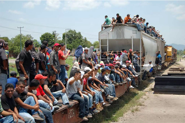 Muchos migrantes de Centroamérica terminan desaprecidos o detenidos en México