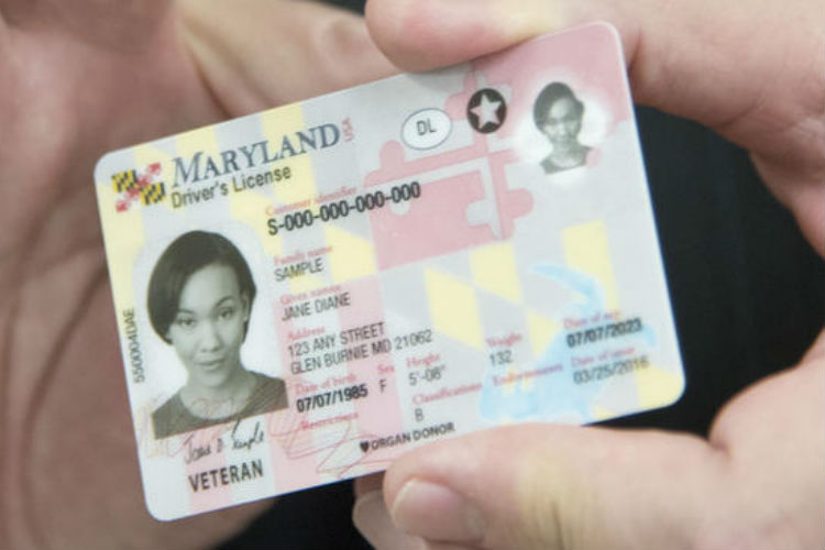 El paso a paso para tramitar una licencia de conducir en Maryland