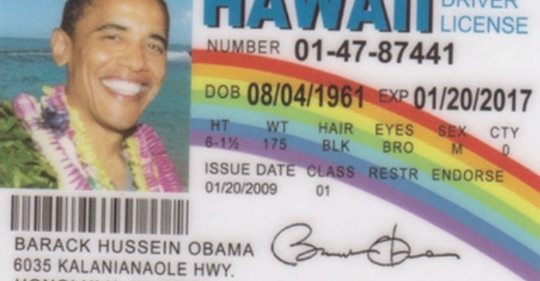 Desde el 1 de enero de 2016 el estado de Hawaii emite licencias para indocumentados que prueban residencia en el archipiélago.