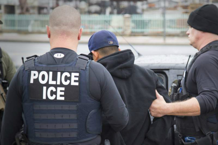 Más de 200 migrantes indocumentados fueron detenidas y numerosas empresa recibieron avisos de auditorías este viernes por elementos de ICE.