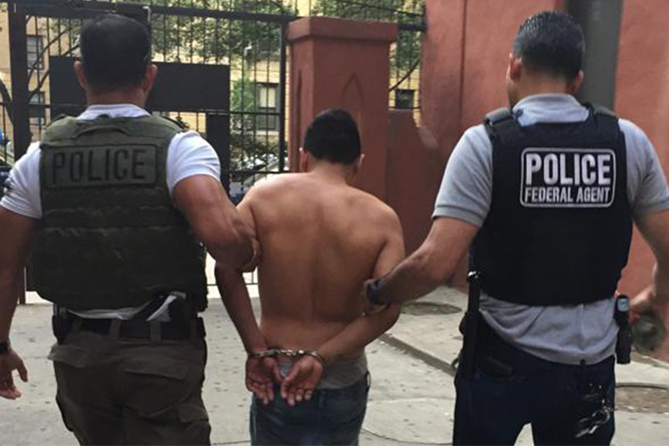 Las acciones de ICE para detener al mayor número de indocumentados no solo ha incrementado el número de arrestos, también ha dejado varias víctimas.