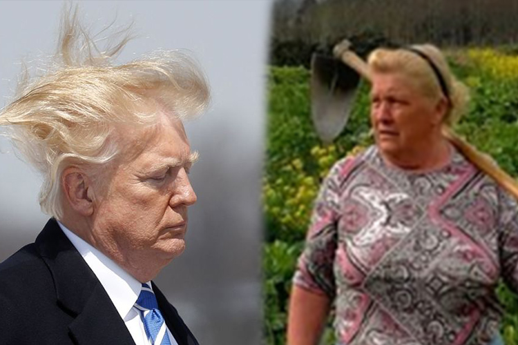 La imagen de Dolores Leis ha impactado a los internautas por su increíble semejanza con el presidente de Estados Unidos Donald Trump.
