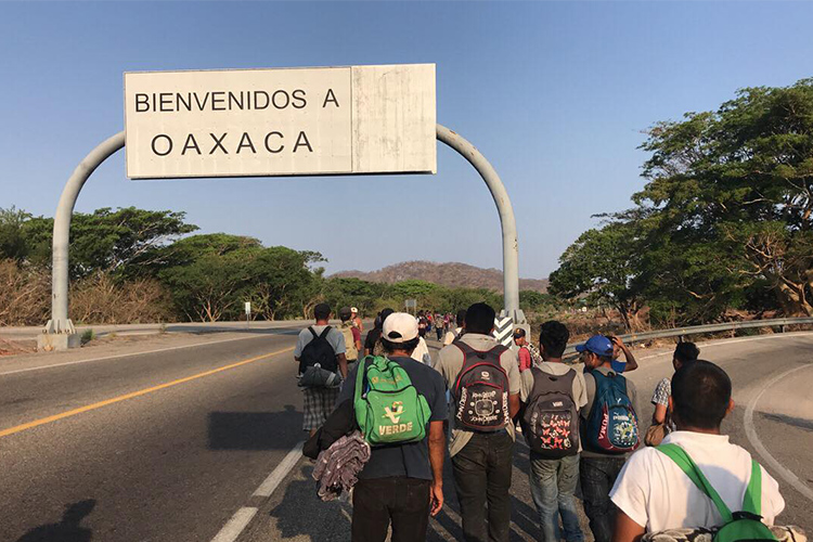 Las personas en condición de refugiadas en México aportan anualmente al país un estimado de 105 millones de pesos en impuestos y contribuciones estatales