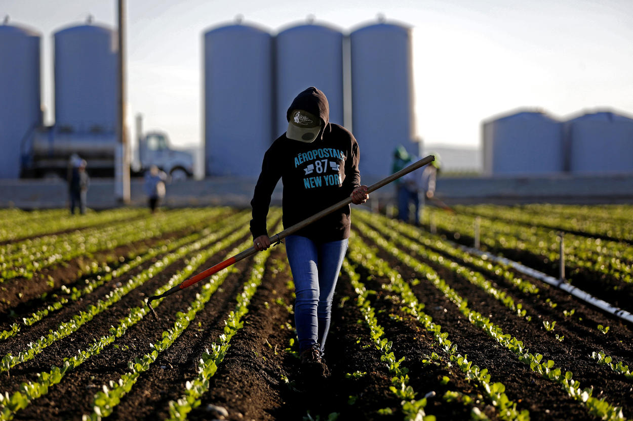 Los mexicanos indocumentados son una parte importante de la fuerza laboral en el campo, la construcción y la hospitalidad. | Foto: GARY CORONADO.