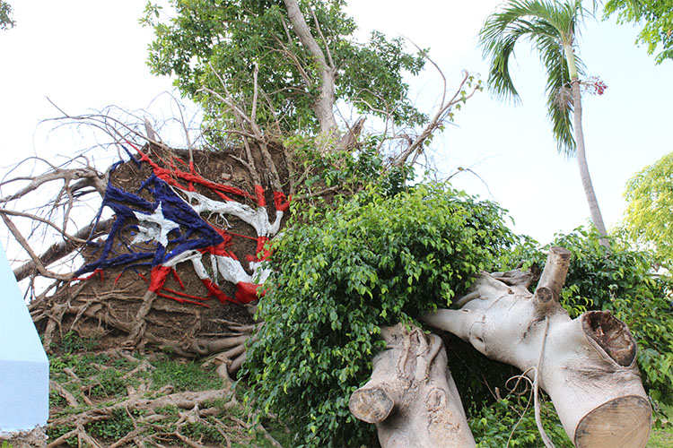 A siete meses de la destrucción del huracán María, los puertorriqueños sienten su ciudadanía a medias