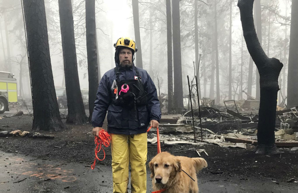 Las llamas que comenzaron el 8 de noviembre en Californias fueron contenidas este domingo 25, después de varias semanas frenéticas | Foto: Voz de América / AP