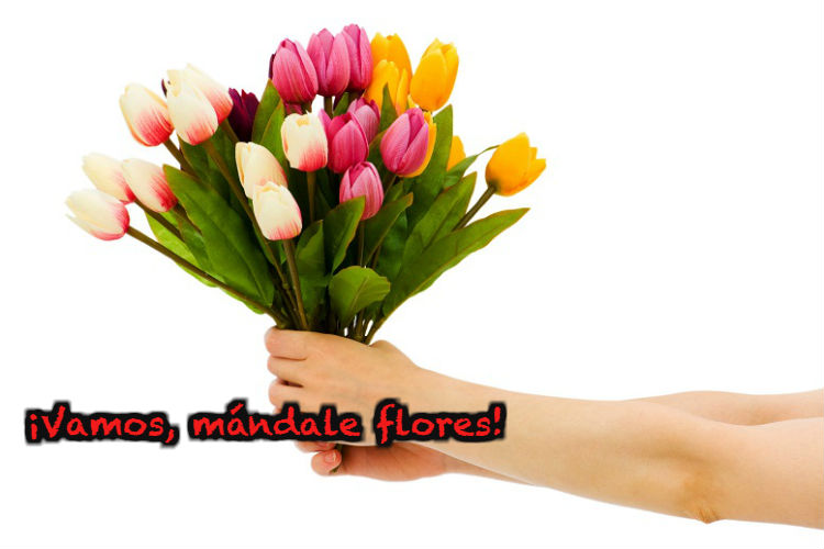 ¡Vamos, mándale flores! es una empresa que a través de tres sencillos pasos te permite enviar flores a un ser querido en cualquier parte de México | Foto: Especial