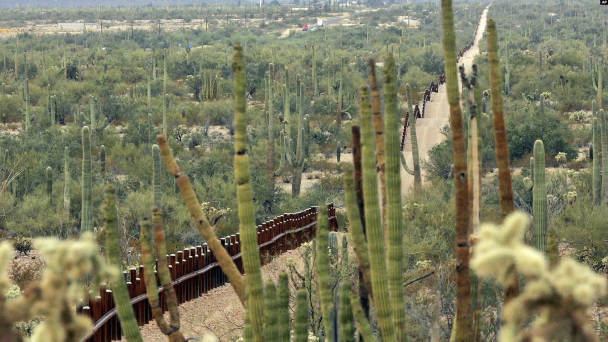 Muro fronterizo atraviesa vida silvestre en el desierto de Arizona