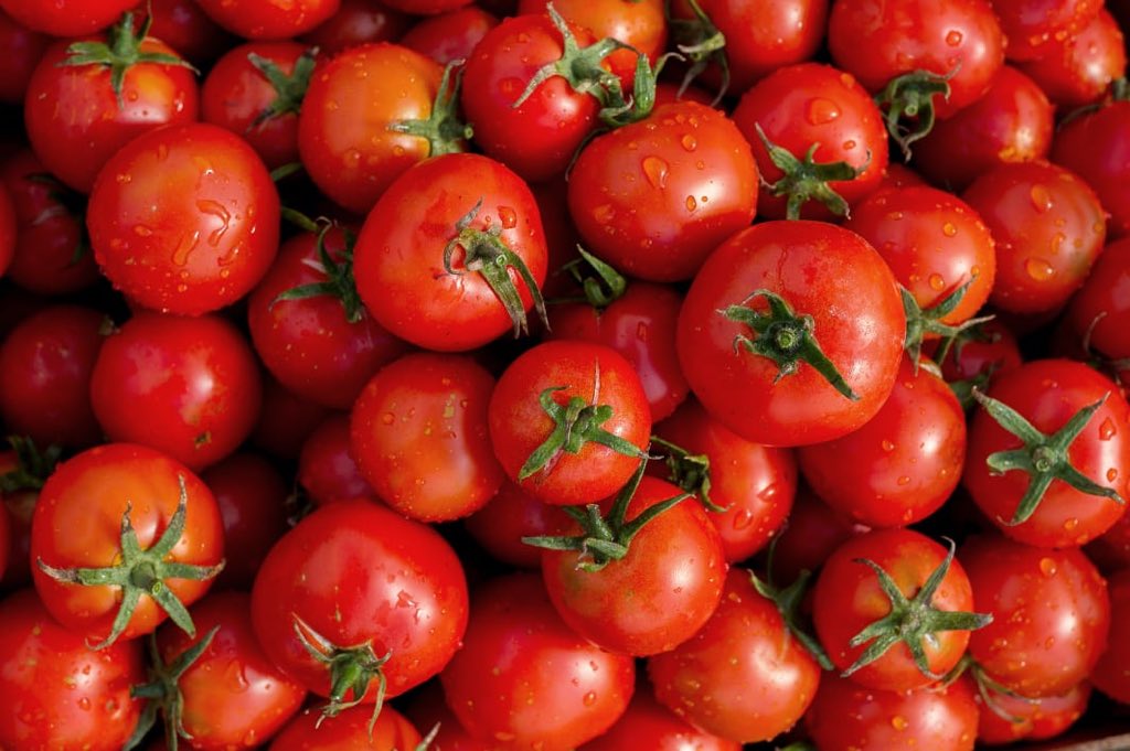 Lamenta gobierno mexicano imposición de arancel en exportación de tomates.