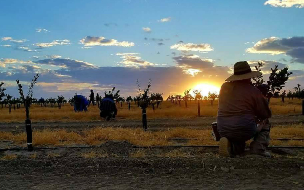 La propuesta para regularizar a los trabajadores agrícolas cuenta con el apoyo de 24 demócratas y 20 republicanos | Foto: @UFWupdates