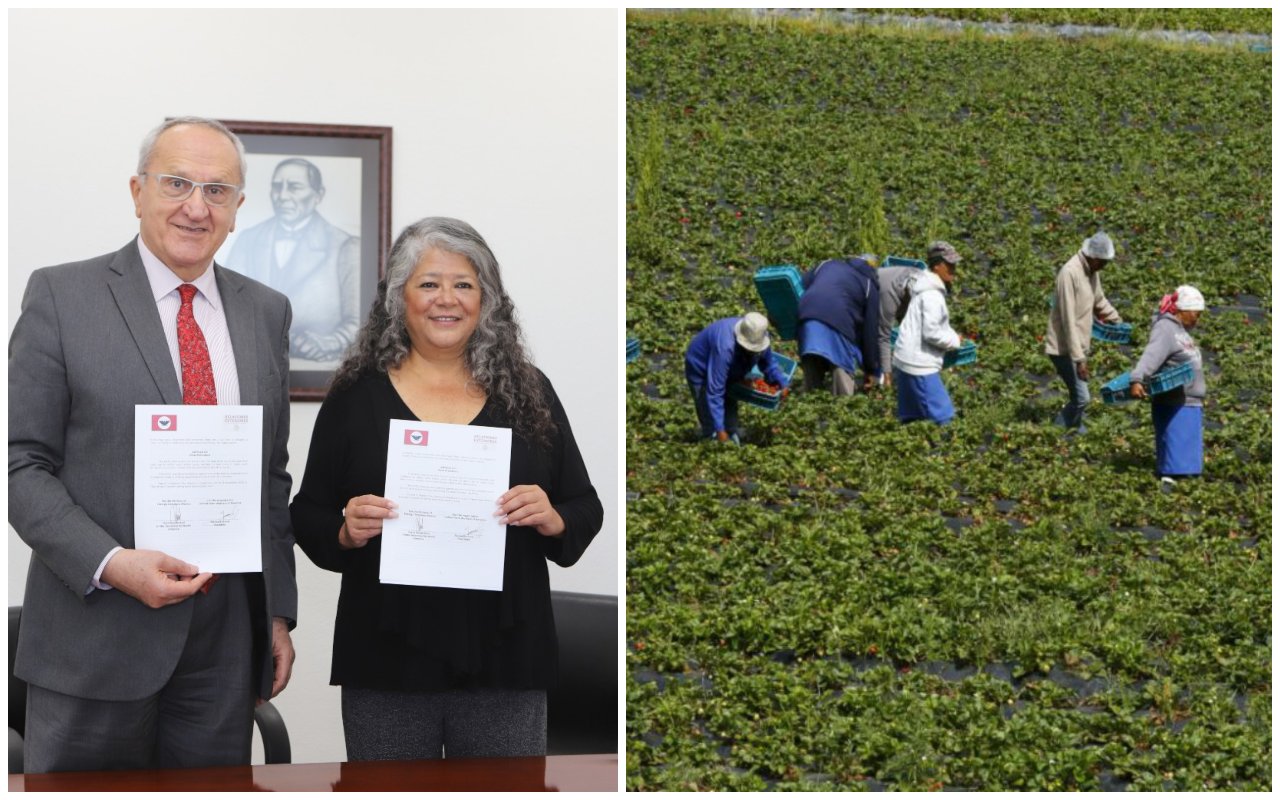 El acuerdo busca fortalecer la colaboración en la defensa de los derechos de las personas mexicanas dedicadas a las actividades agrícolas en Estados Unido.
