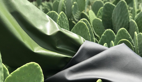 La piel de nopal puede ser utilizada en bolsas, mochilas y carteras. Ambos mexicanos aseguran que varias marcas de lujo han tratado de contactarlos.