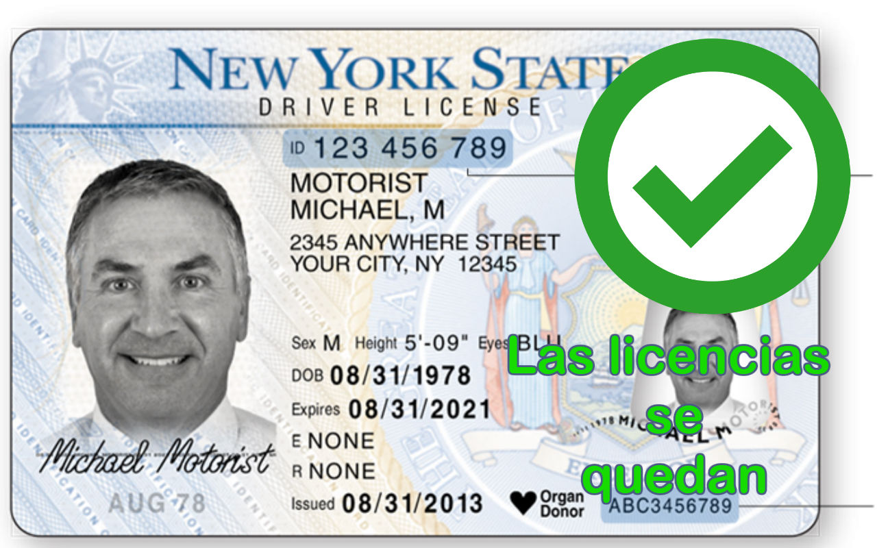 Las licencias de conducir en Nueva York se comenzarán a tramitar el lunes 16 de diciembre