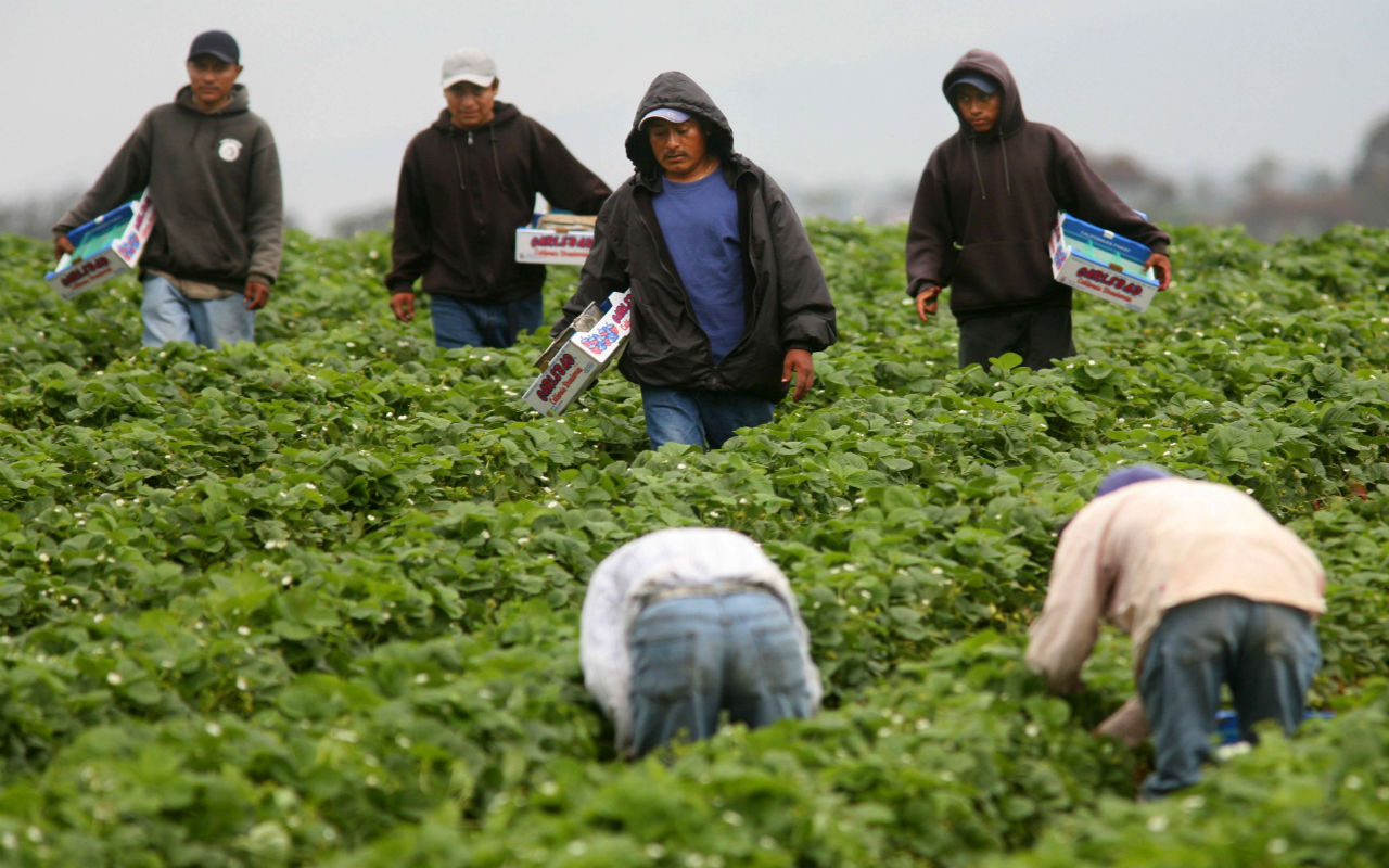 En el año fiscal 2019 que comprende de octubre de 2018 a septiembre de 2019, se expidieron 303 mil 657 visas de trabajo a mexicanos.