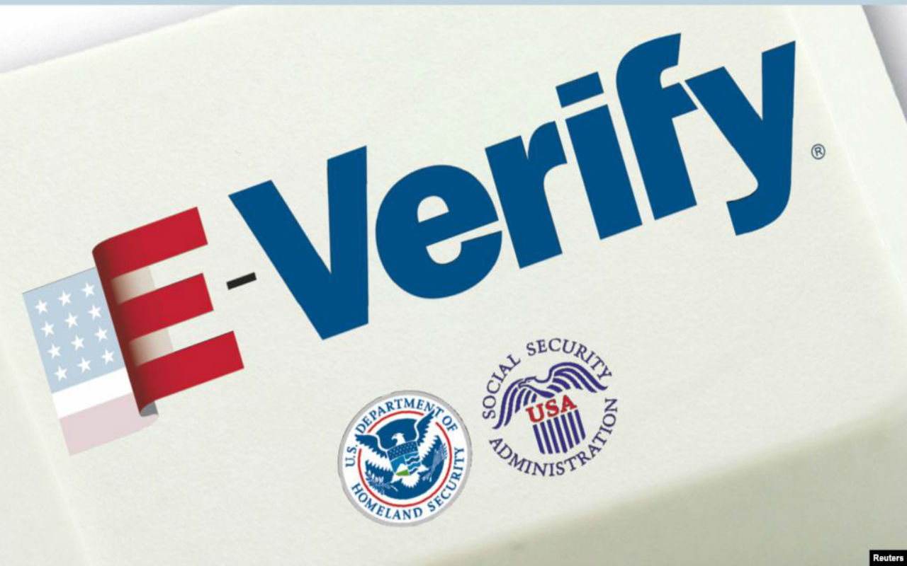 Según datos del USCIS aproximadamente unos 1500 nuevos empleadores se inscriben cada semana al E-Verify/ Foto: VOA