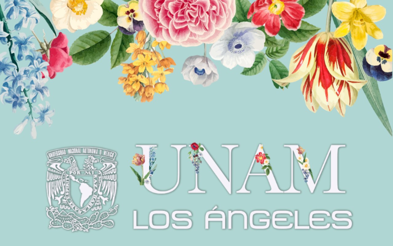 Aprovecha la cuarentena con los cursos en línea de UNAM Los Ángeles