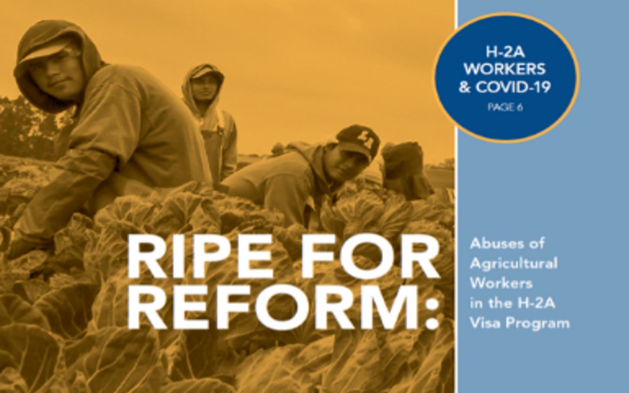 EEUU viola derechos del 100% de los trabajadores agrícolas