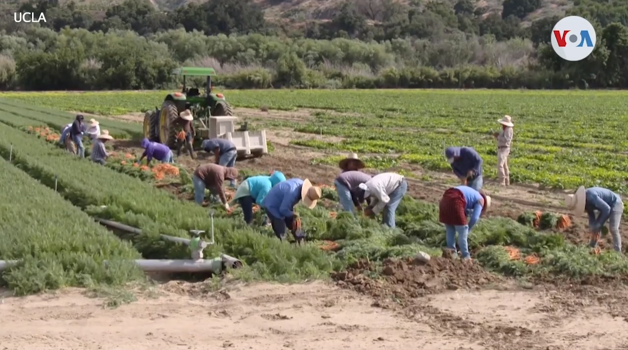 California establece ayuda para indocumentados afectados por Covid-19