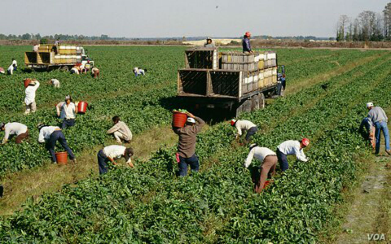 Derechos laborales VOA