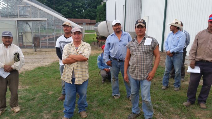 México suspende envío de cinco mil trabajadores agrícolas a Canadá