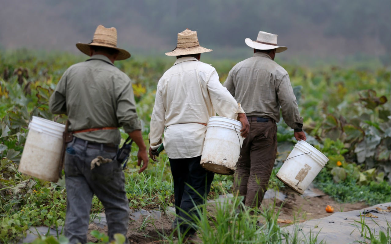 Trabajadores esenciales VOA Reuters