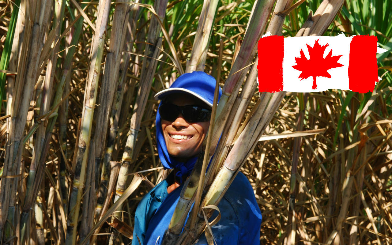 the-rural-worker-trabajar en Canadá Pixabay