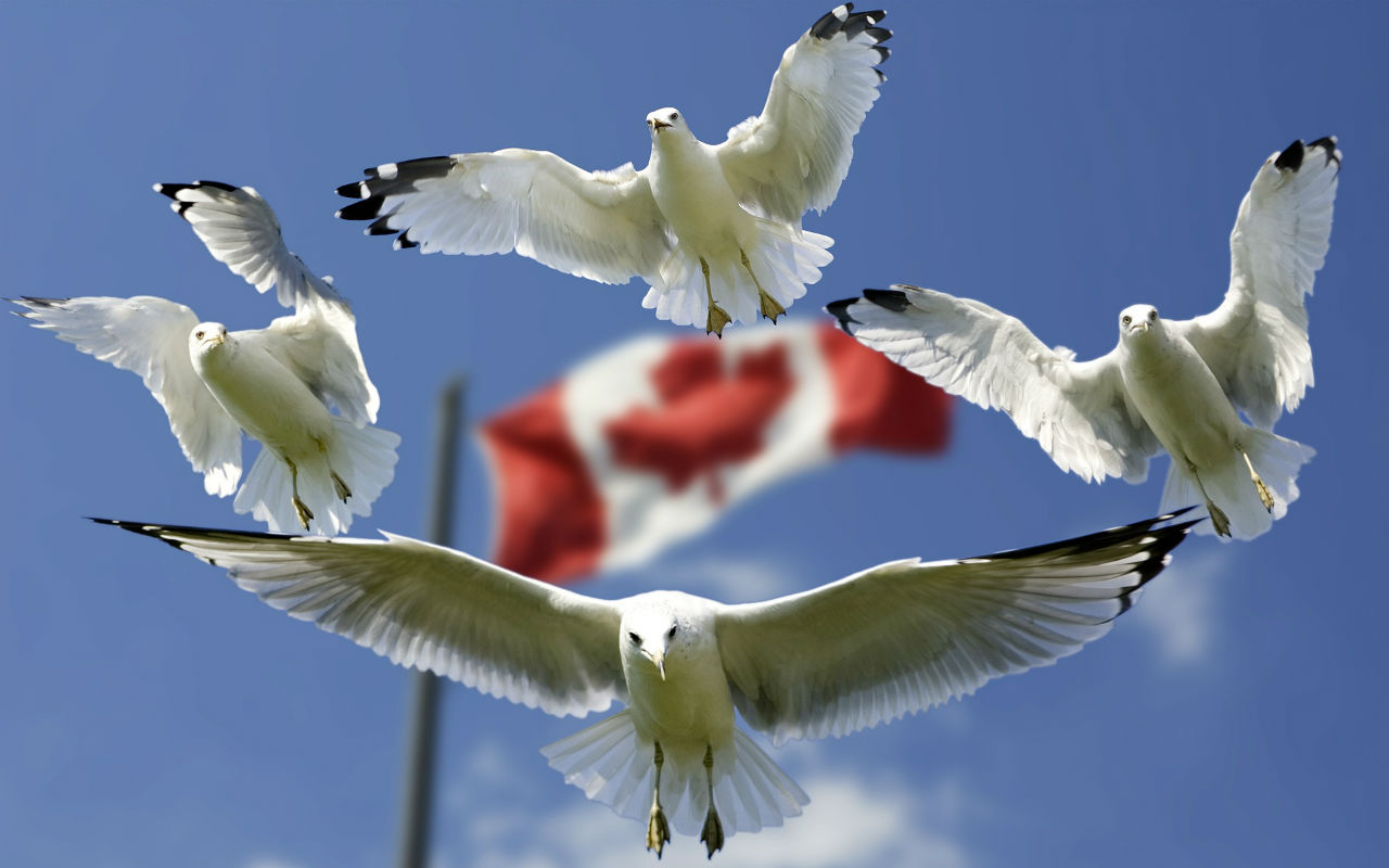 Canadá Pixabay