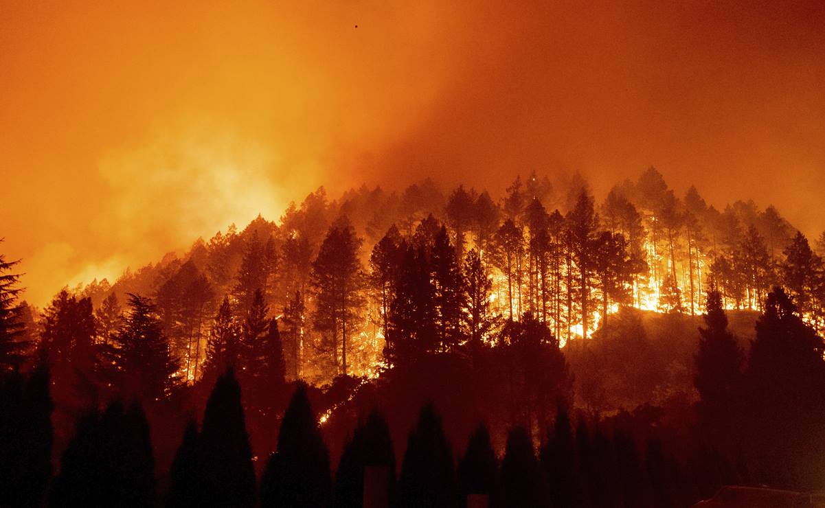 Los incendios en California ya han terminado con millones de hectáreas a lo largo del estado. Foto: AP.