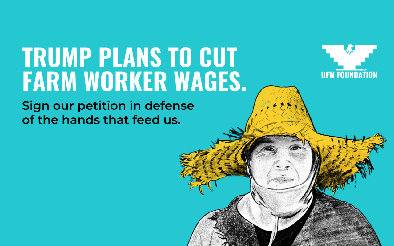 2020-10-04-farm-worker-wages-petition-twitter UFW Trump quiere bajar el salario de los jornaleros