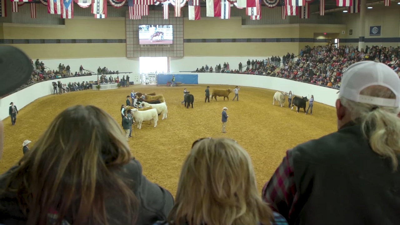 El Fort Worth Stock Show & Rodeo reúne a más de un millón de personas anualmente. | Foto: Captura de pantalla.