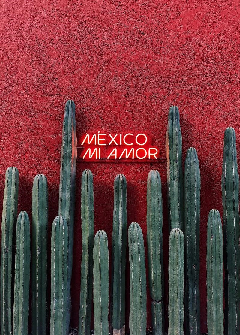México mi amor