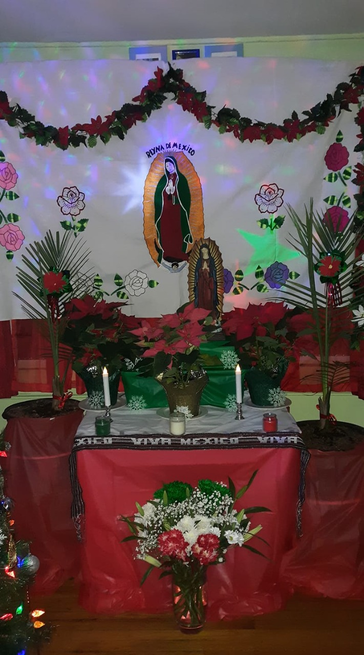 Altar a la Morenita con flores y nochebuenas