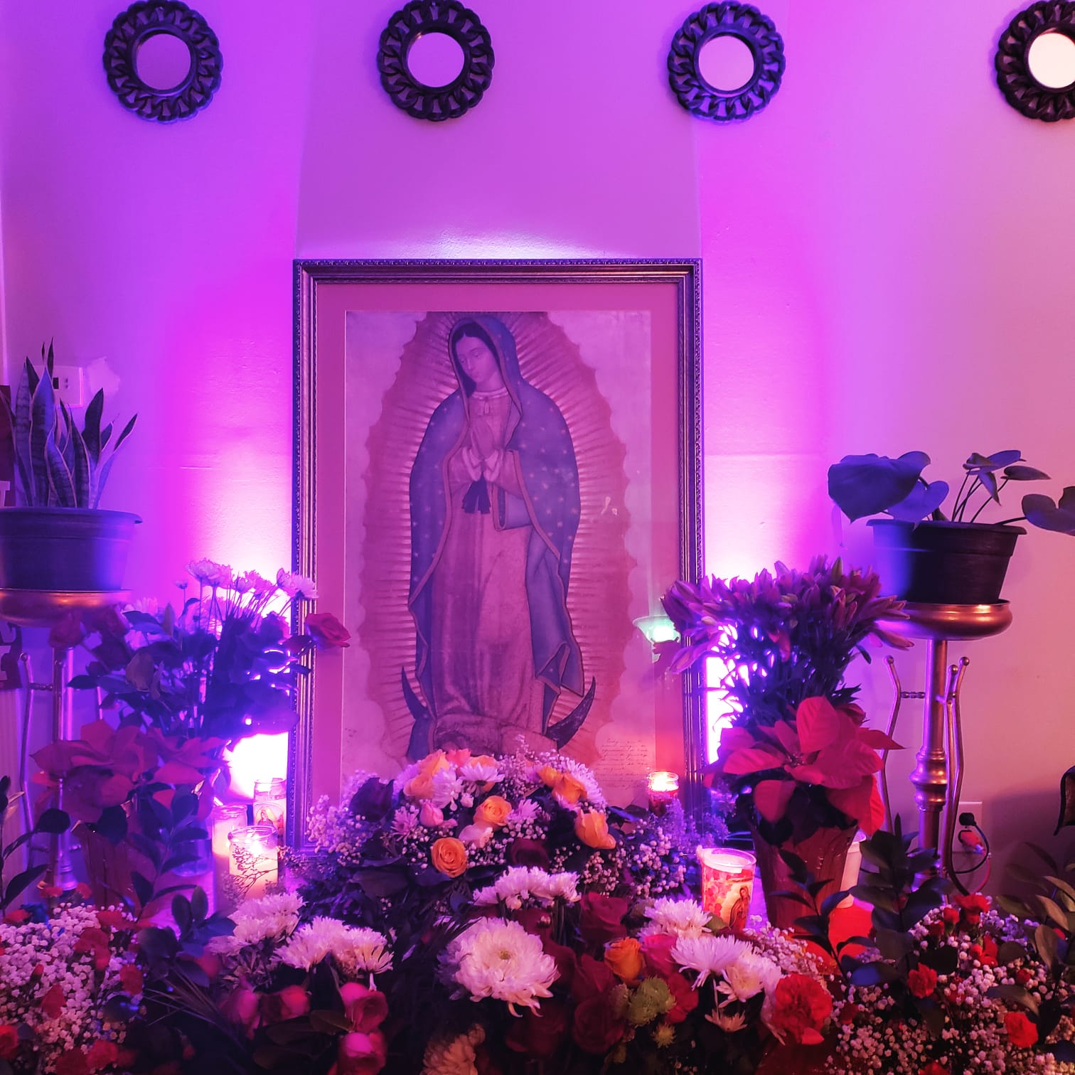 Altar con luces moradas