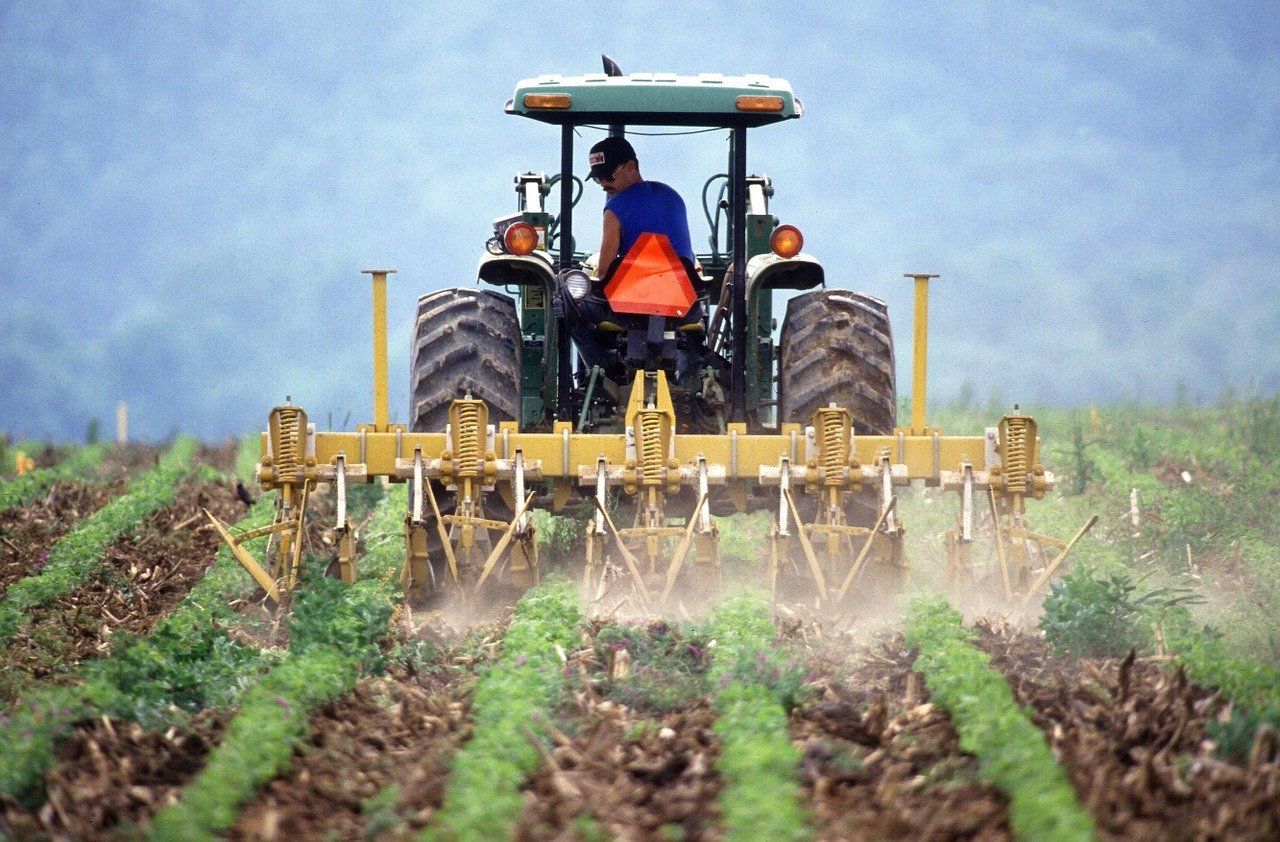 Desde siempre, los trabajadores agrícolas han cobrado un salario muy bajo pese a las labores rudas que desempeñan. | Foto: Pixabay.
