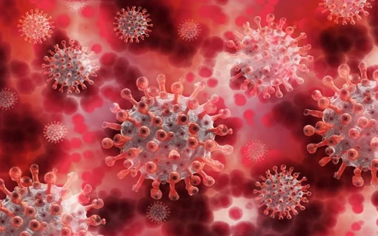 CORONAVIRUS | En EEUU identifican dos nuevas variantes contagiosas