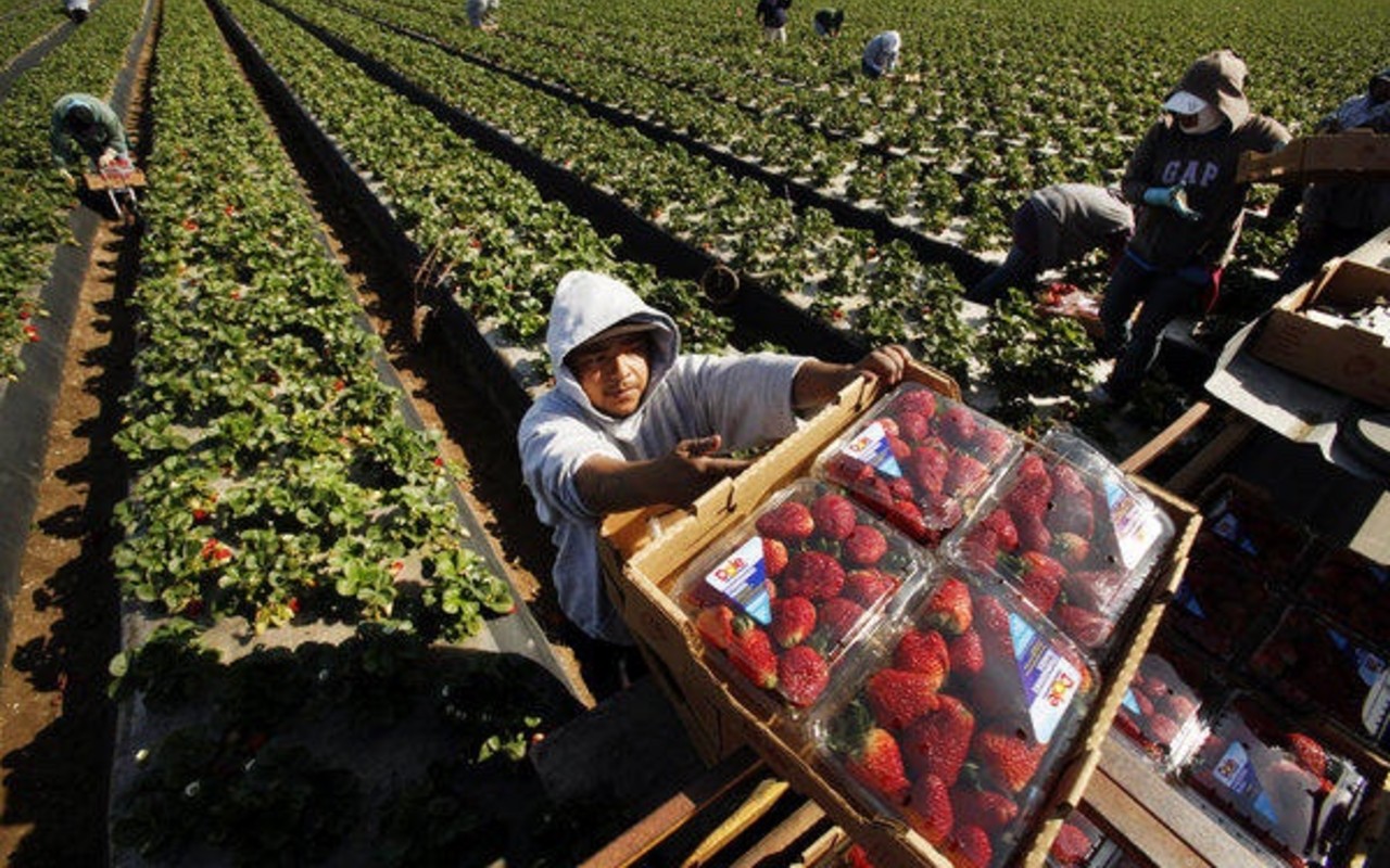 Ciudadanía para trabajadores esenciales, la otra reforma migratoria