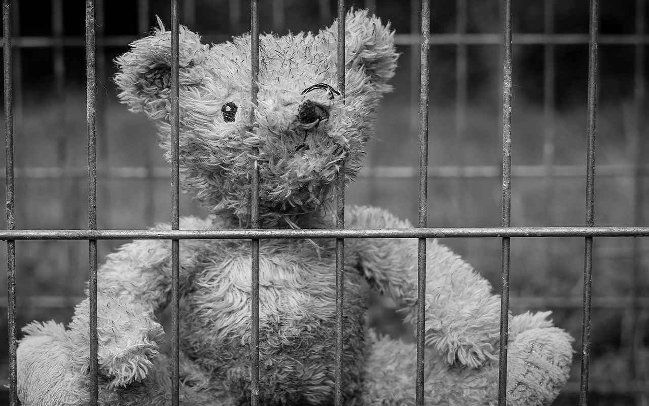 Esta niña ha estado en un centro de detención de ICE más tiempo que cualquier otro menor de edad. | Foto: Pixabay.