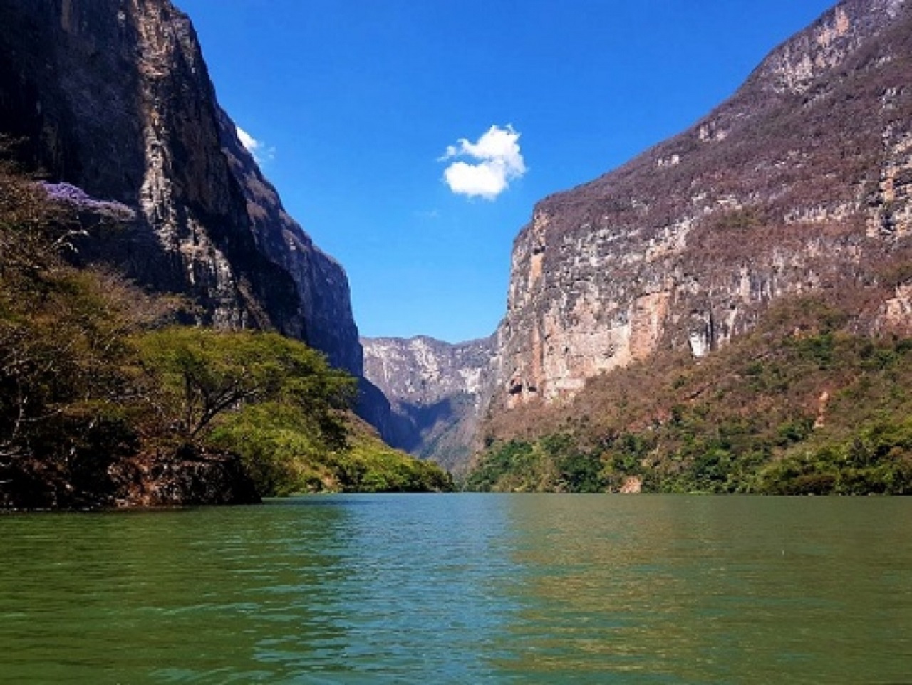 Río Grijalva, en la frontera entre México y Guatemala. | Foto: Consejo Consultivo del Agua.