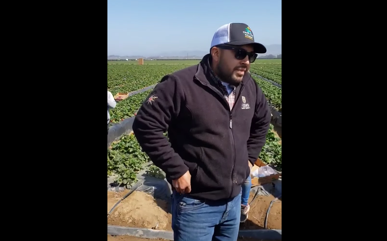 Este es el empleador que despidió a Guadalupe, una trabajadora agrícola en California que exigió un aumento del pago por hora. | Foto: Especial.