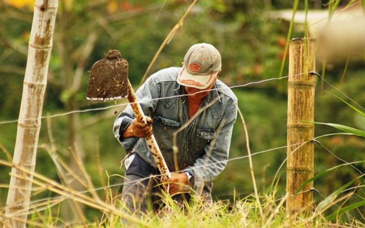 Estas empresas en USA contratan a más trabajadores agrícolas con la visa H-2A. | Foto: Pixabay.