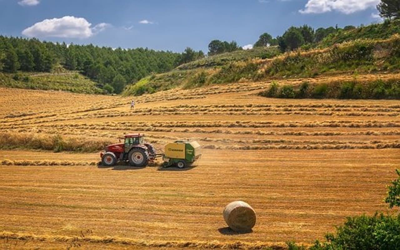 Trabajadores agrícolas en USA recibirán ayuda económica por pandemia de Covid-19. | Foto: Pixabay.